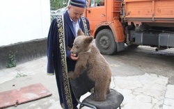 Казахстанский имам приютил медвежонка (Фото)